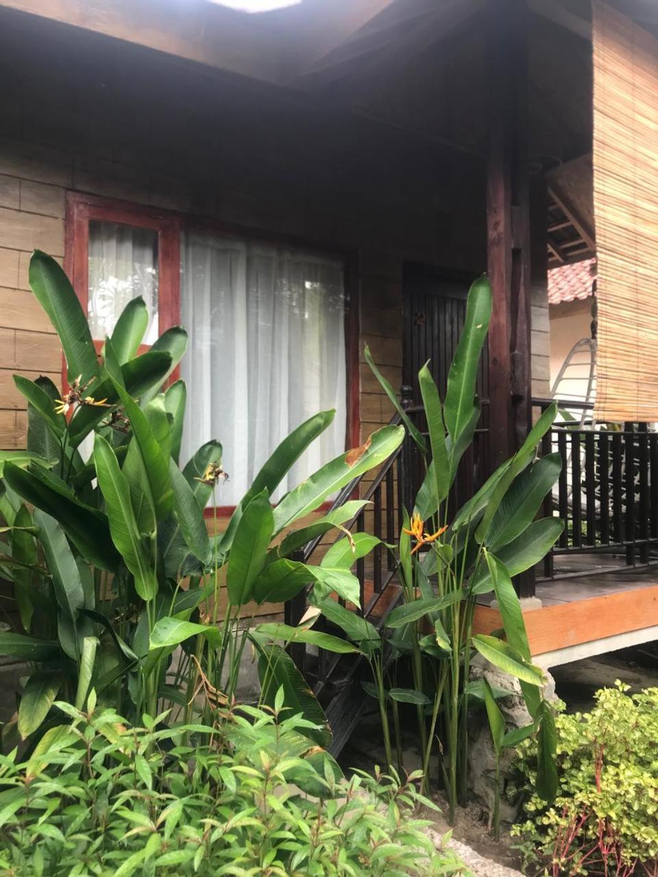 Appartement Zifa Mandalika à Kuta  Extérieur photo